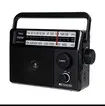 Portable Radios